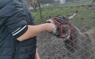 Pożyteczne spędzanie czasu wolnego