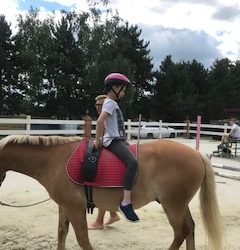 Hipoterapia i dogoterapia