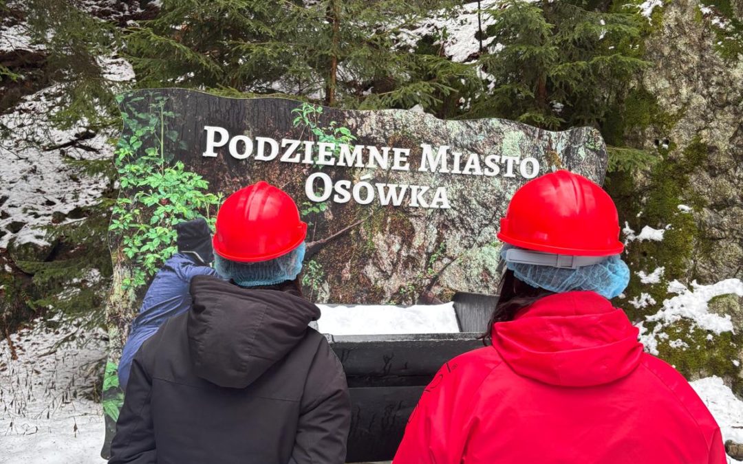 WYCIECZKA DO PODZIEMNEGO MIASTA OSÓWKA