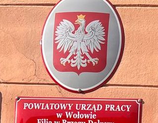 AKTYWIZACJA ZAWODOWA – GDZIE SIĘ ZGŁOSIĆ?