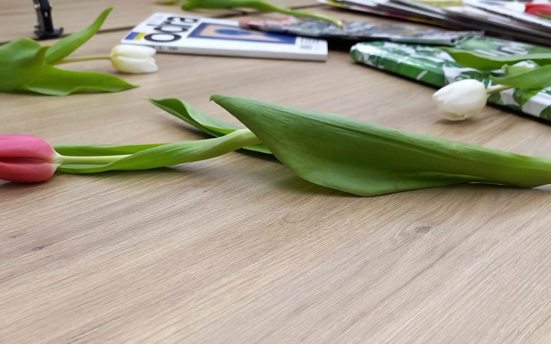 DZIEŃ KOBIET W BIBLIOTECE
