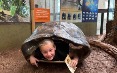 WYCIECZKA DO ZOO WE WROCŁAWIU