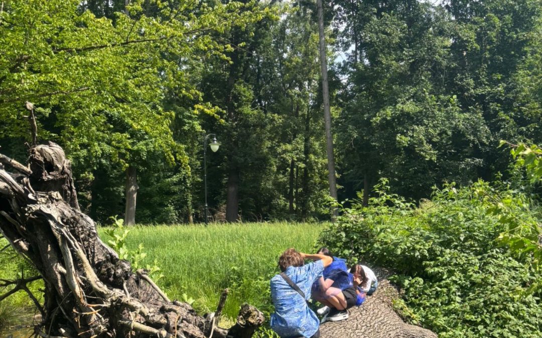 PROFESJONALNA SESJA FOTOGRAFICZNA