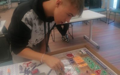 ZAJĘCIA ELEKTRONICZNE