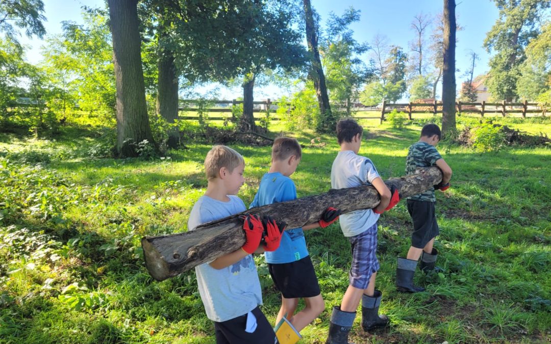 PROGRAM TARA, CZYLI RUSZAMY Z KOPYTA… W SCHRONISKU DLA KONI