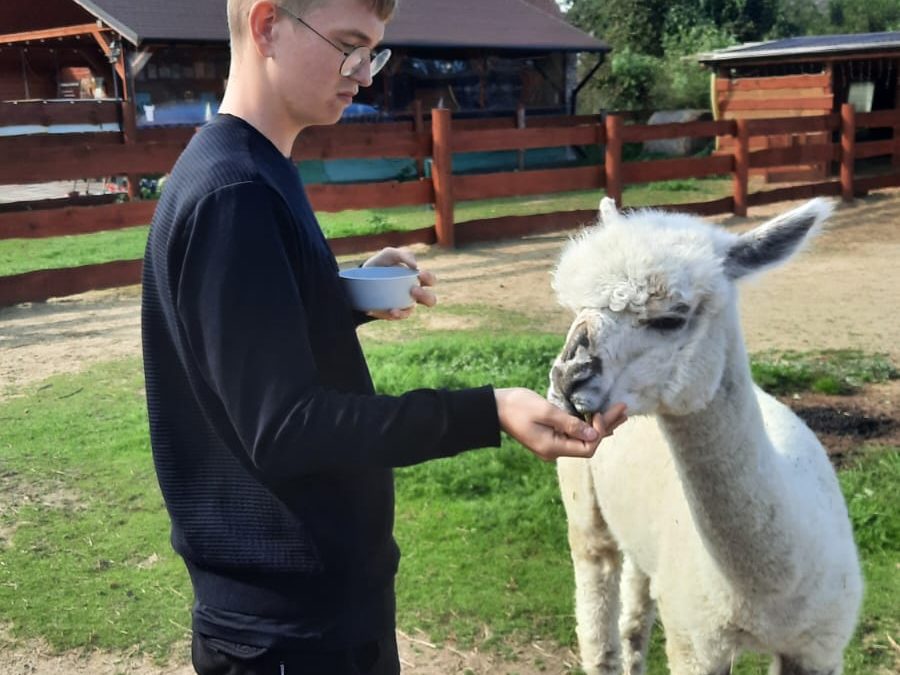 KOLEJNE SPOTKANIE Z ALPAKAMI