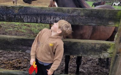 POKAZ SIŁY W SCHRONISKU TARA