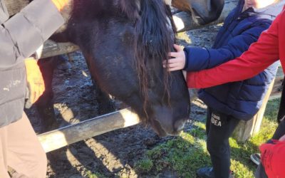GORĄCE SERCA DLA ZWIERZĄT W CHŁODNĄ SOBOTĘ W SCHRONISKU TARA
