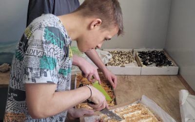 PRZYGOTOWANIA DO WIGILII