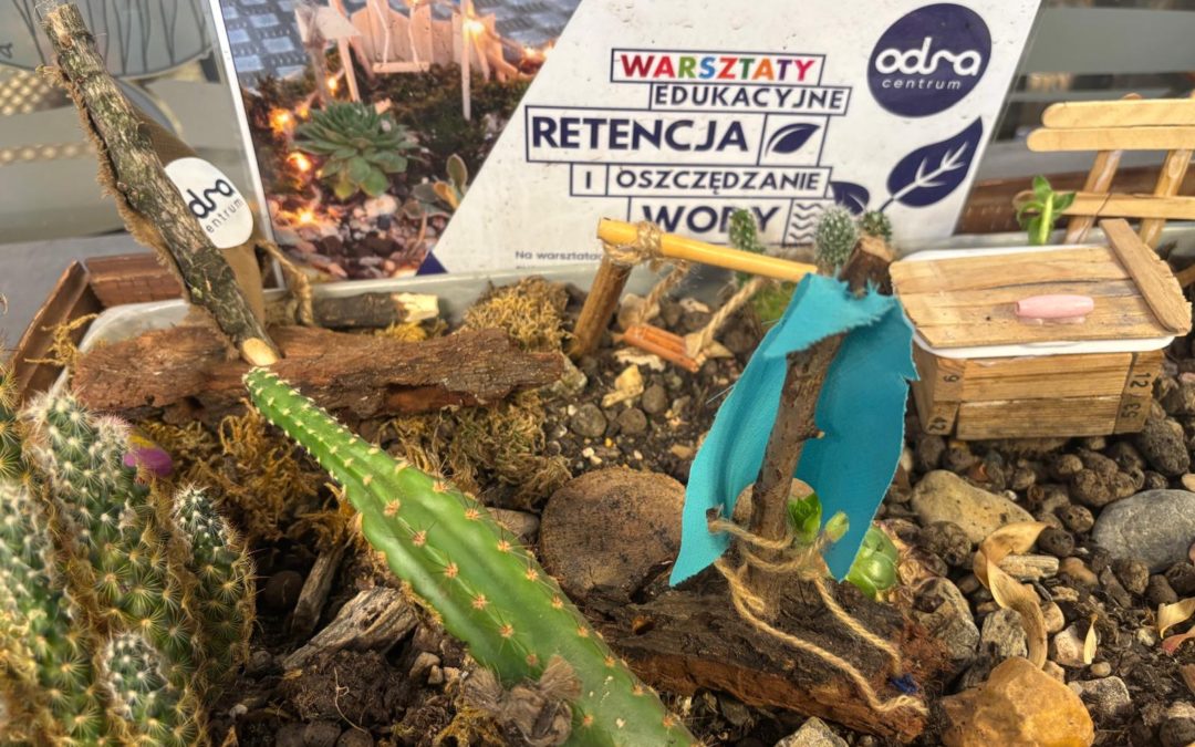 WARSZTATY ,,RZEKA DAJE MOC” W ODRA CENTRUM