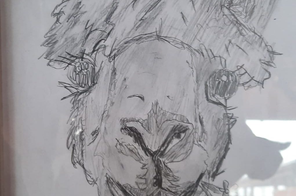 NASZA ,,OAZA” SPOKOJU – RANCHO ALPAK